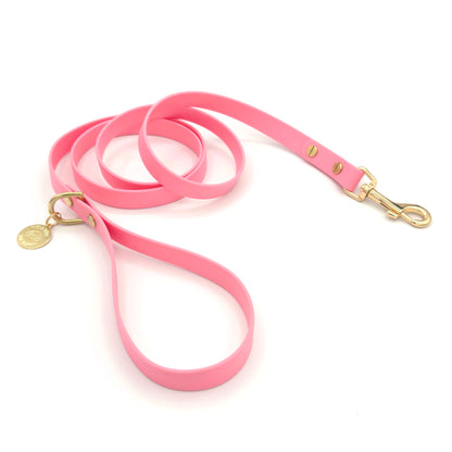 Stylish light pink dog leash made from high-quality vegan leather, featuring elegant gold hardware. This waterproof leash is soft to the touch, ensuring comfort for pet owners while providing durability for everyday walks. Ideal for pet owners looking for a fashionable, and long-lasting accessory for their dog