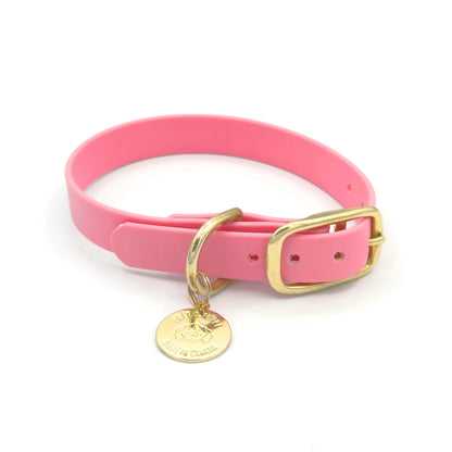 Stylish light pink dog collar made from high-quality vegan leather, featuring elegant gold hardware. This waterproof collar is soft to the touch, ensuring comfort for your pet while providing durability for everyday use. Ideal for pet owners looking for a fashionable, and long-lasting accessory for their dog.