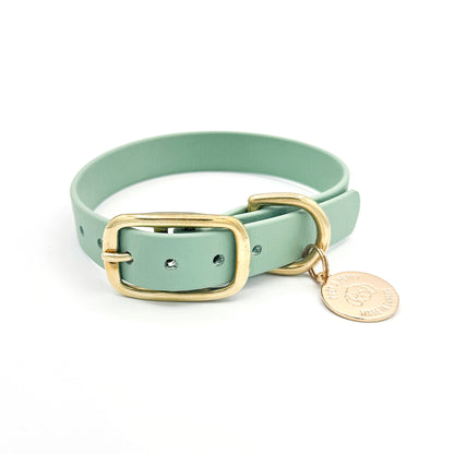 Stylish sage green dog collar made from high-quality vegan leather, featuring elegant gold hardware. This waterproof collar is soft to the touch, ensuring comfort for your pet while providing durability for everyday use. Ideal for pet owners looking for a fashionable, and long-lasting accessory for their dog.