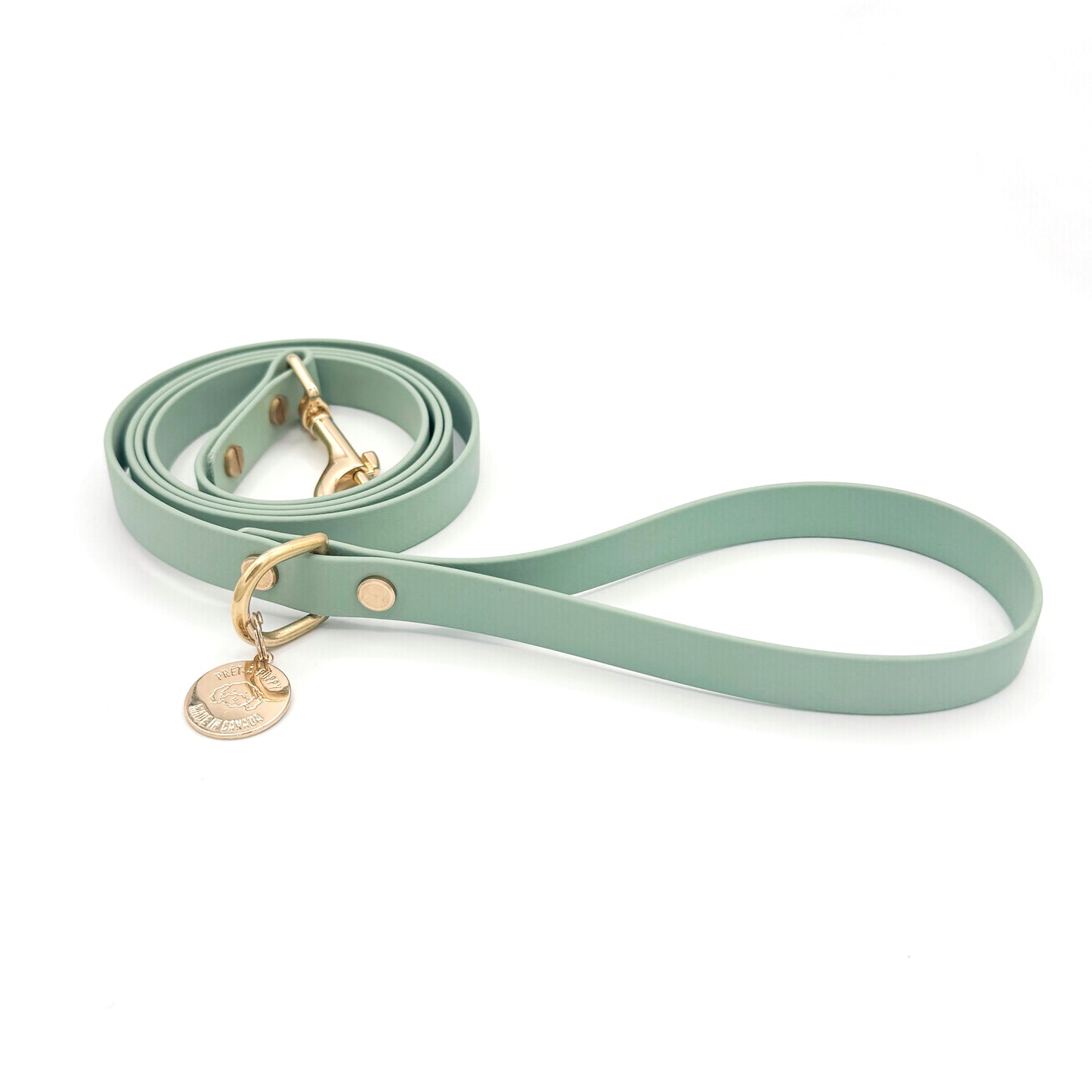 Stylish sage green dog leash made from high-quality vegan leather, featuring elegant gold hardware. This waterproof leash is soft to the touch, ensuring comfort for pet owners while providing durability for everyday walks. Ideal for pet owners looking for a fashionable, and long-lasting accessory for their dog