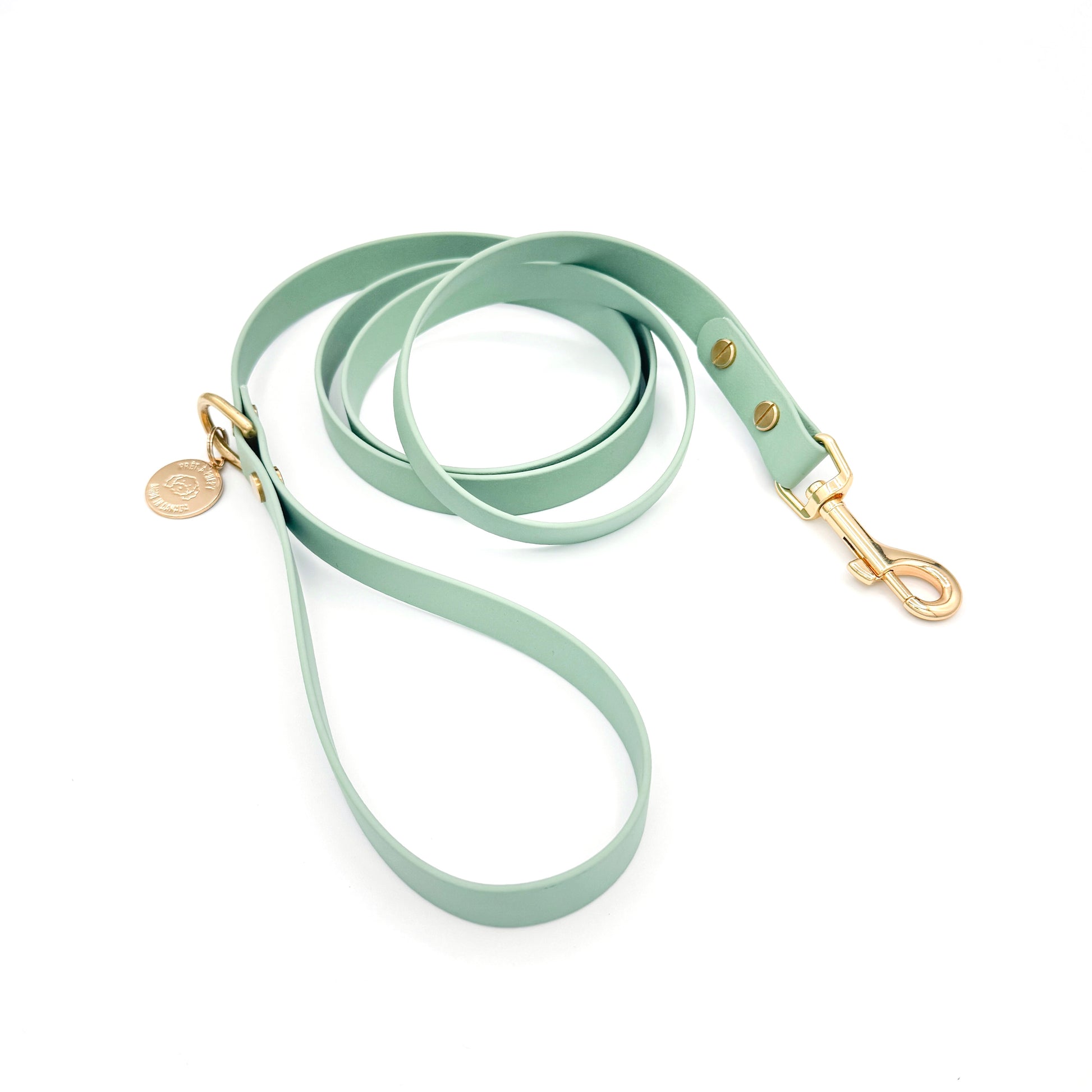 Stylish sage green dog leash made from high-quality vegan leather, featuring elegant gold hardware. This waterproof leash is soft to the touch, ensuring comfort for pet owners while providing durability for everyday walks. Ideal for pet owners looking for a fashionable, and long-lasting accessory for their dog