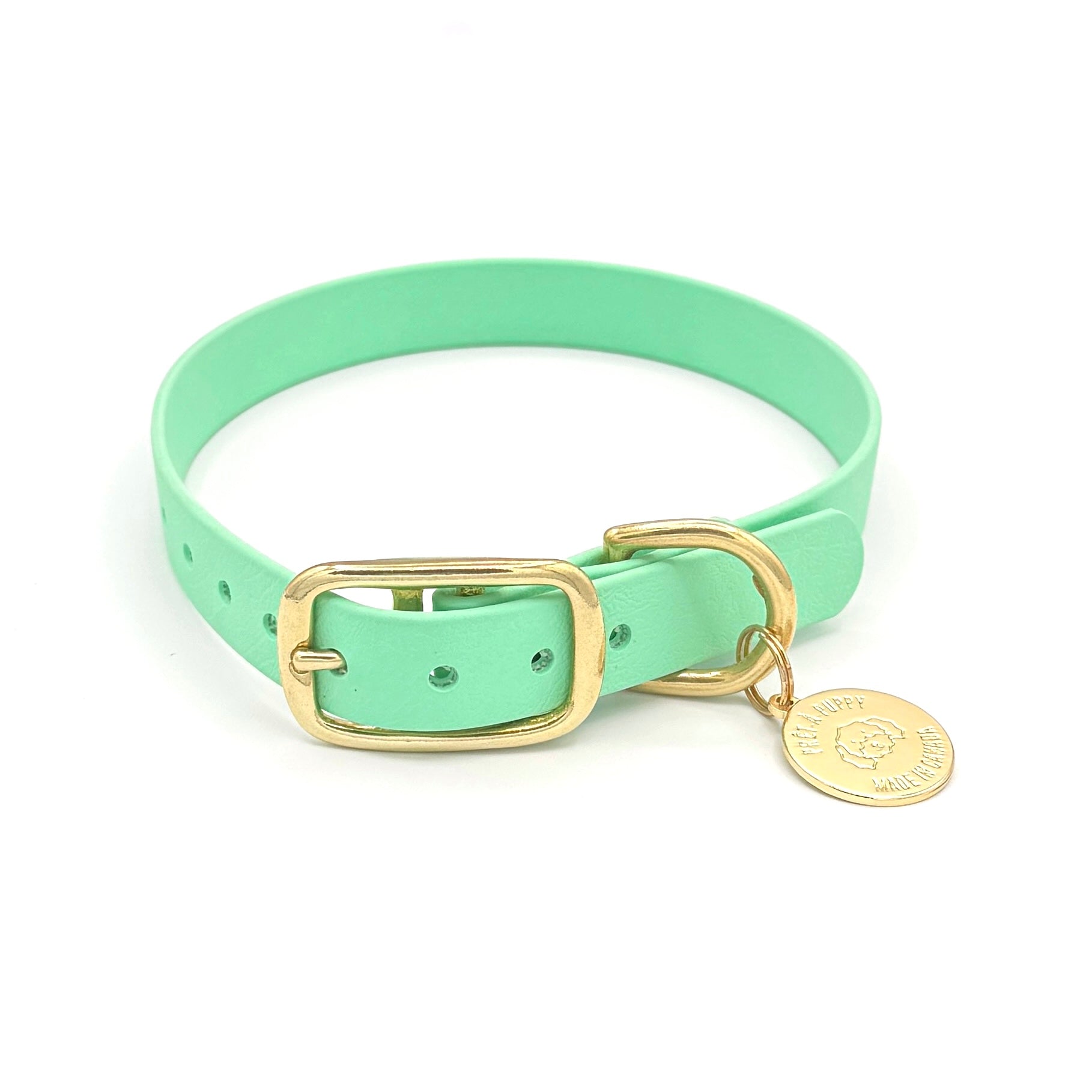 Stylish seafoam green dog collar made from high-quality vegan leather, featuring elegant gold hardware. This waterproof collar is soft to the touch, ensuring comfort for your pet while providing durability for everyday use. Ideal for pet owners looking for a fashionable, and long-lasting accessory for their dog.