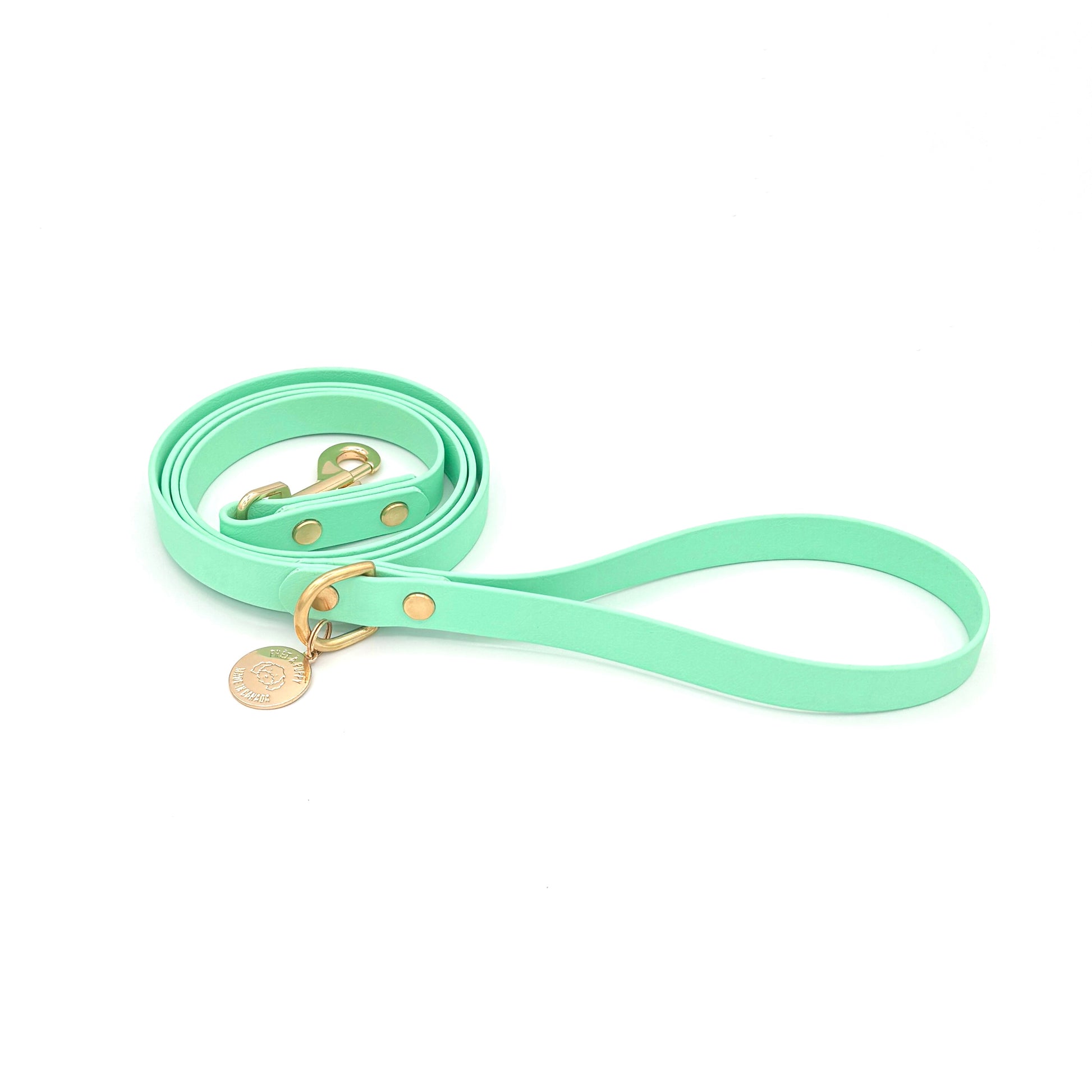 Stylish seafoam green dog leash made from high-quality vegan leather, featuring elegant gold hardware. This waterproof leash is soft to the touch, ensuring comfort for pet owners while providing durability for everyday walks. Ideal for pet owners looking for a fashionable, and long-lasting accessory for their dog