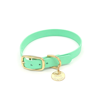 Stylish seafoam green dog collar made from high-quality vegan leather, featuring elegant gold hardware. This waterproof collar is soft to the touch, ensuring comfort for your pet while providing durability for everyday use. Ideal for pet owners looking for a fashionable, and long-lasting accessory for their dog.