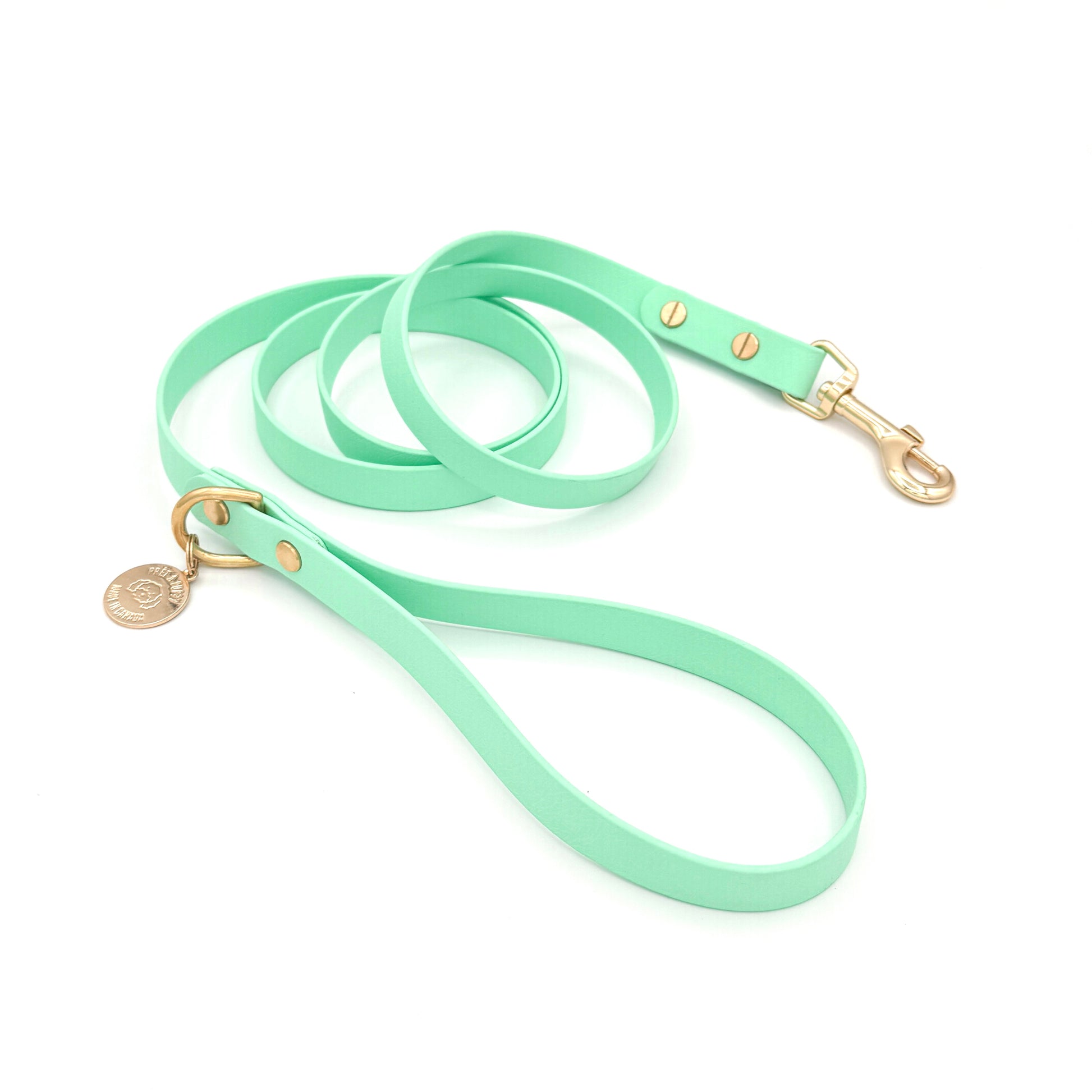 Stylish seafoam green dog leash made from high-quality vegan leather, featuring elegant gold hardware. This waterproof leash is soft to the touch, ensuring comfort for pet owners while providing durability for everyday walks. Ideal for pet owners looking for a fashionable, and long-lasting accessory for their dog