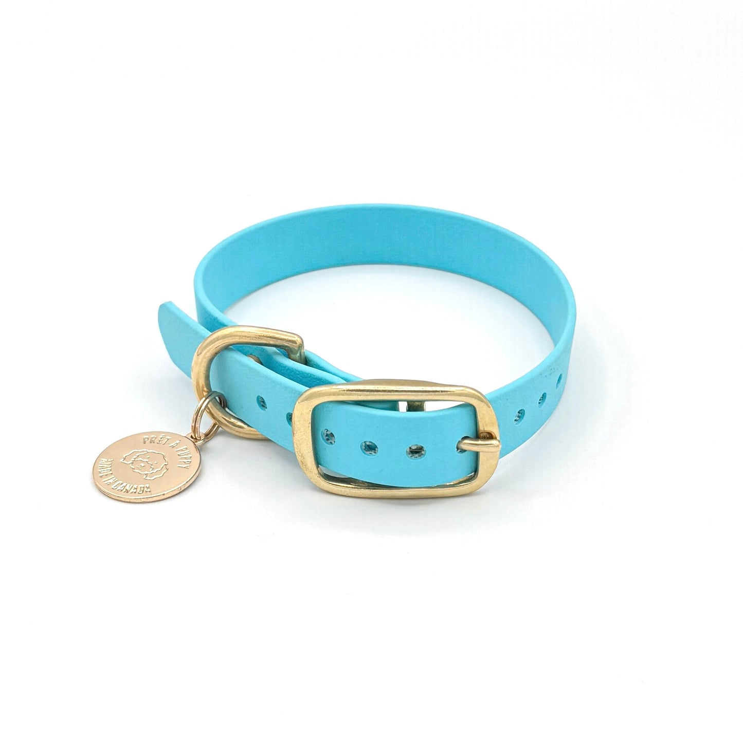 Stylish light blue dog collar made from high-quality vegan leather, featuring elegant gold hardware. This waterproof collar is soft to the touch, ensuring comfort for your pet while providing durability for everyday use. Ideal for pet owners looking for a fashionable, and long-lasting accessory for their dog.