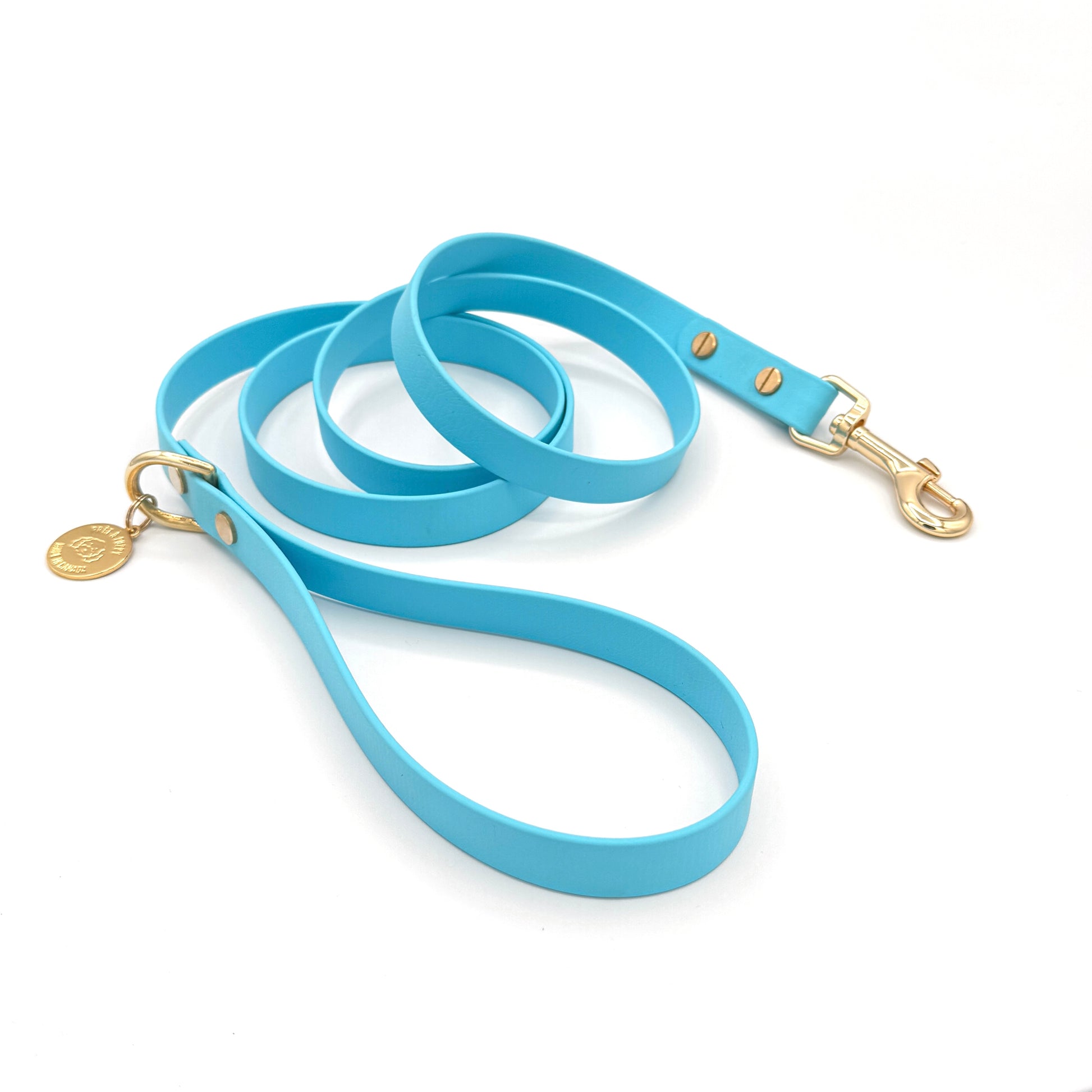 Stylish light blue dog leash made from high-quality vegan leather, featuring elegant gold hardware. This waterproof leash is soft to the touch, ensuring comfort for pet owners while providing durability for everyday walks. Ideal for pet owners looking for a fashionable, and long-lasting accessory for their dog