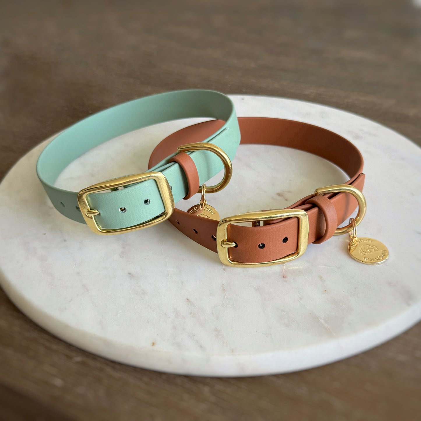 Sage - Original Collar