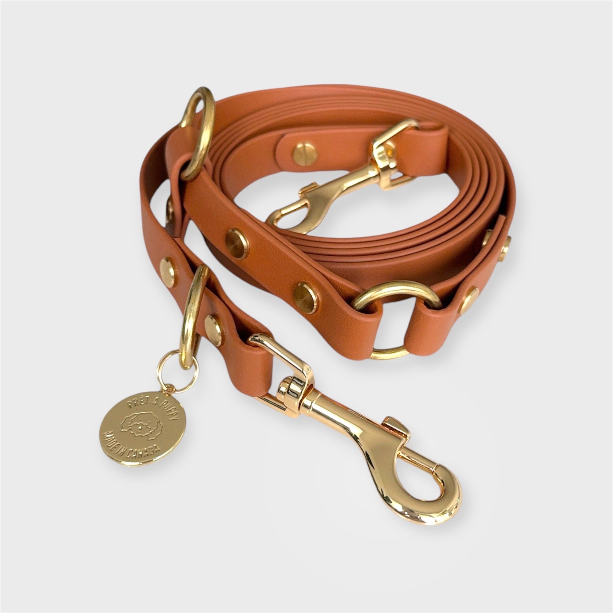 Hands Free Leash PRET A PUPPY