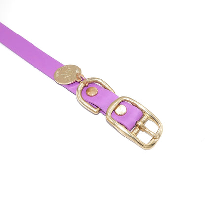 Amethyst Purple Biothane dog collar with gold hardware, waterproof and durable, stylish for daily dog walks
