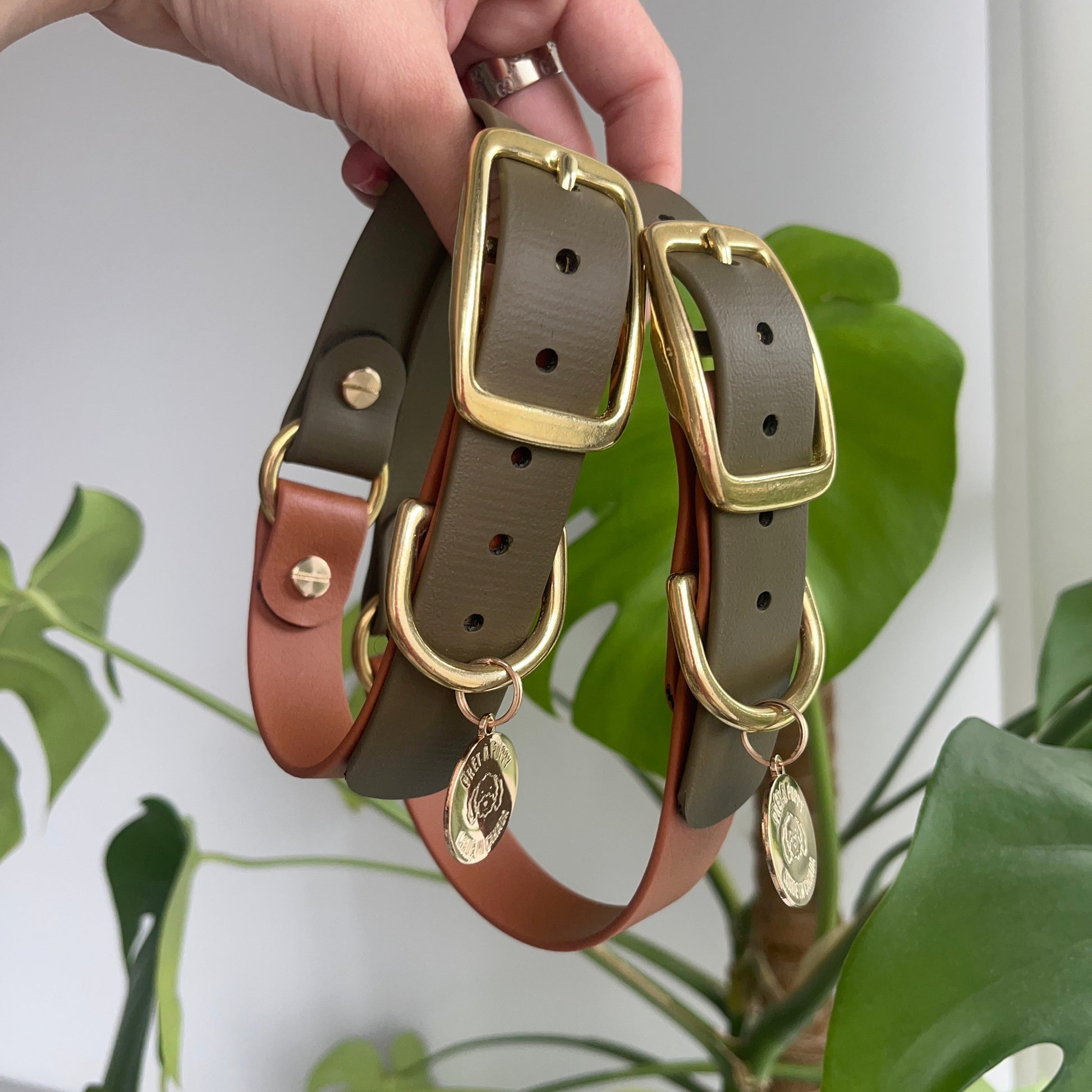 Olive Tan Biothane waterproof dog collar with gold brass hardware, durable and stylish