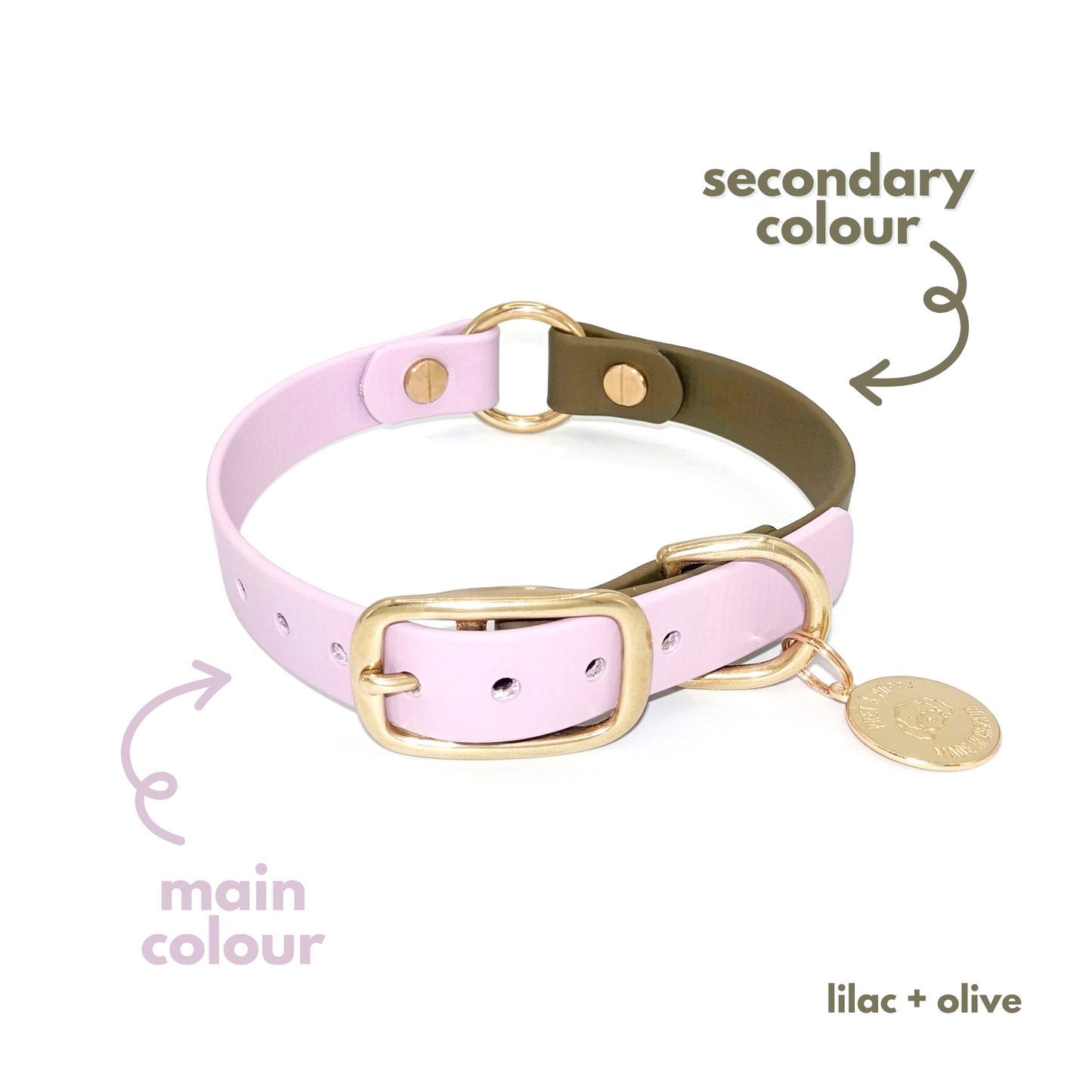 lilac olive Biothane waterproof dog collar with gold brass hardware, durable and stylish