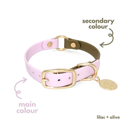 lilac olive Biothane waterproof dog collar with gold brass hardware, durable and stylish