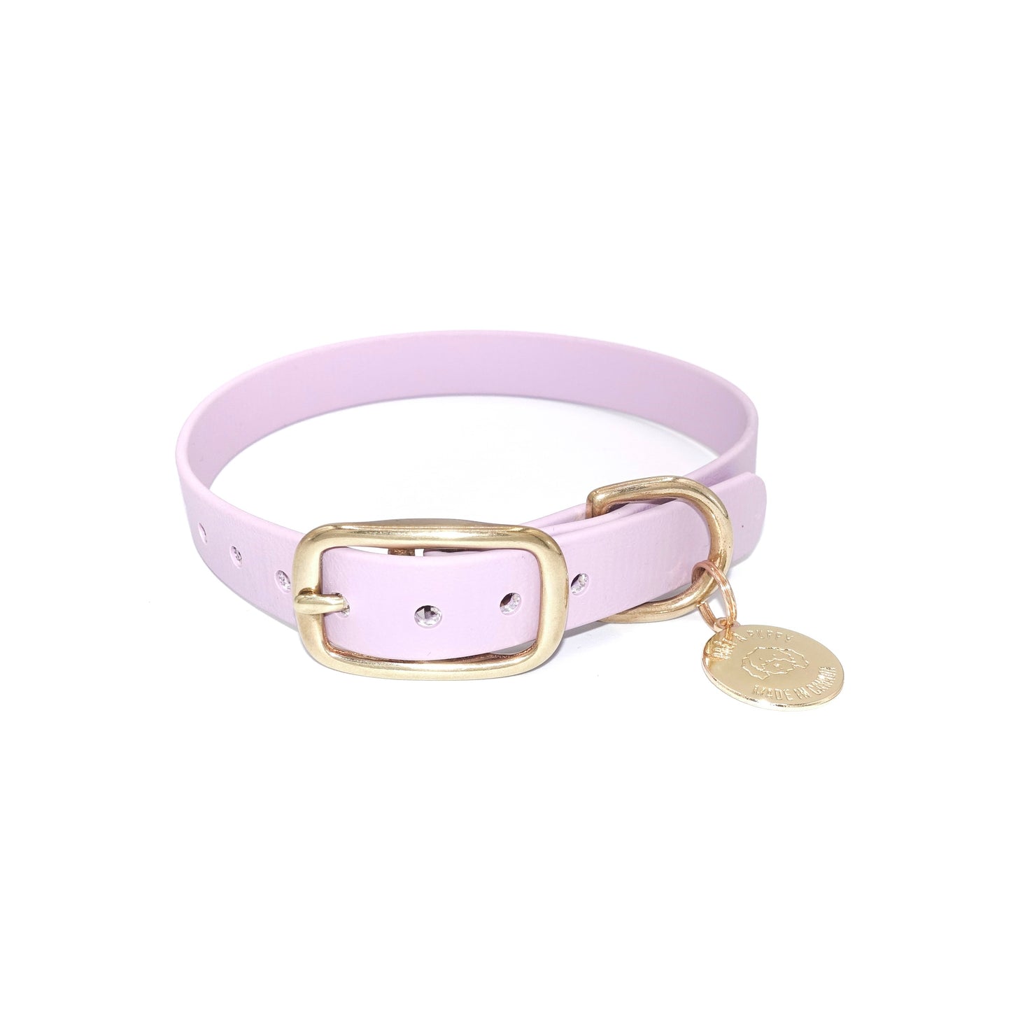 Lavender dog collar with a gold buckle and tag on a white background