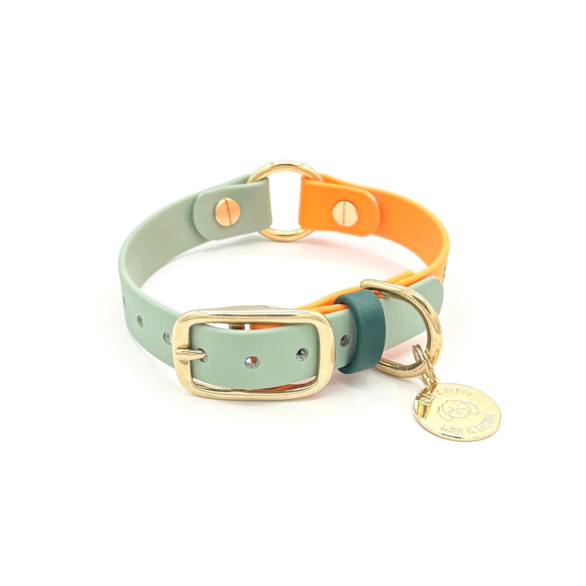 Biothane waterproof dog collar with gold brass hardware, durable and stylish, sage and orange