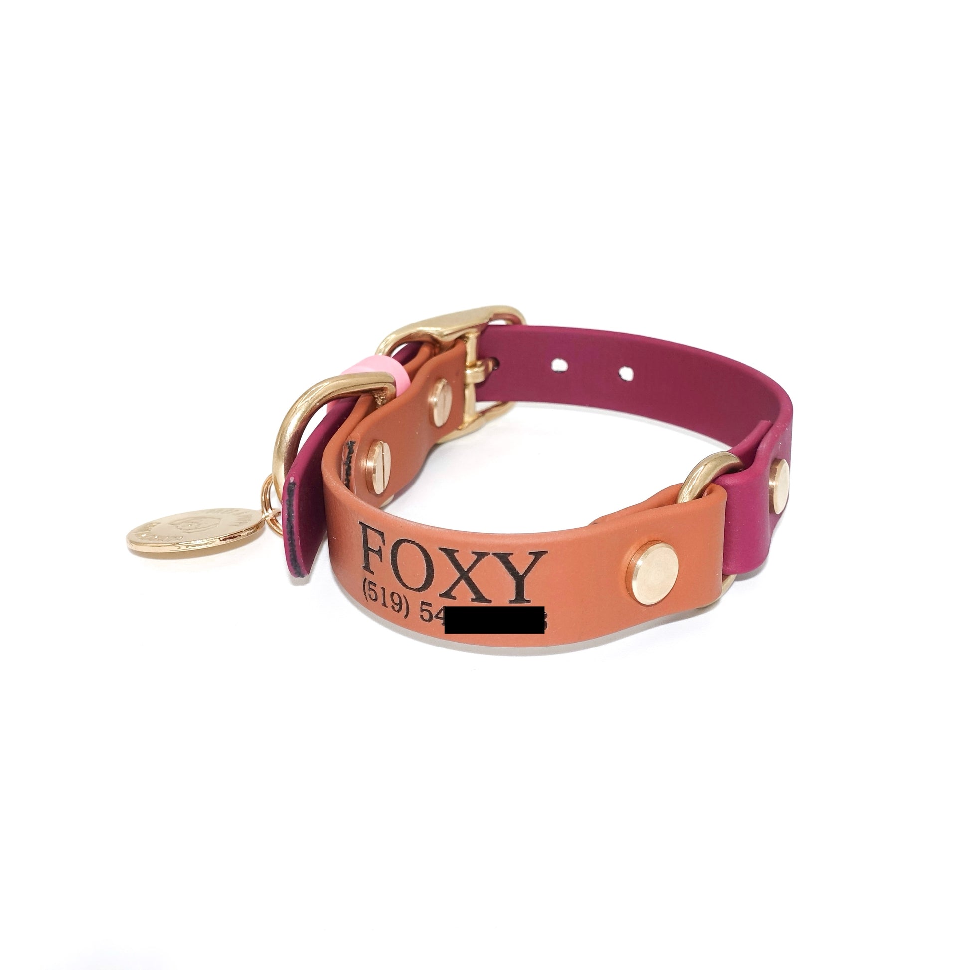 Custom engraved dog ID nameplate for collar or leash, personalized with pet name and phone number