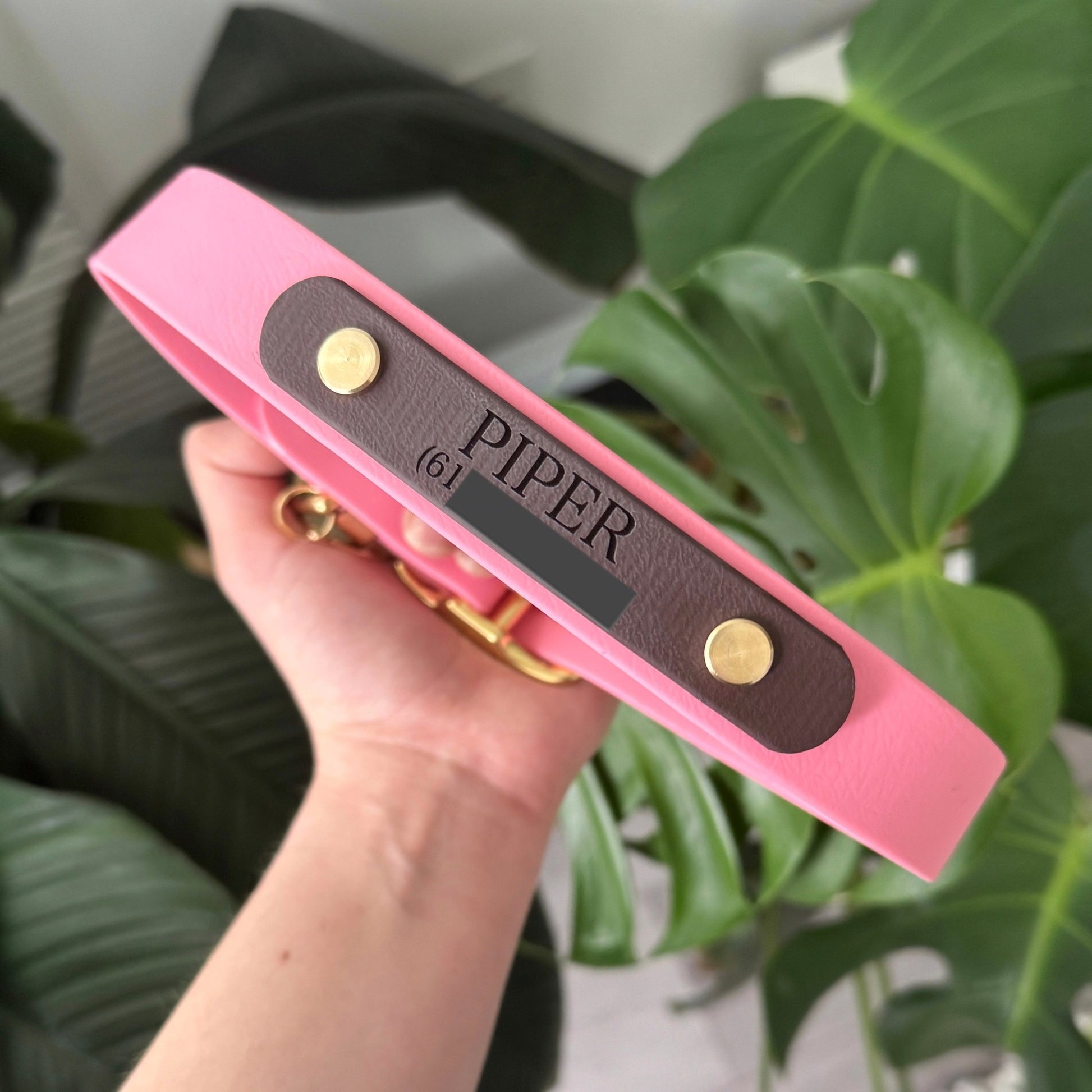 Custom engraved dog ID nameplate for collar or leash, personalized with pet name and phone number