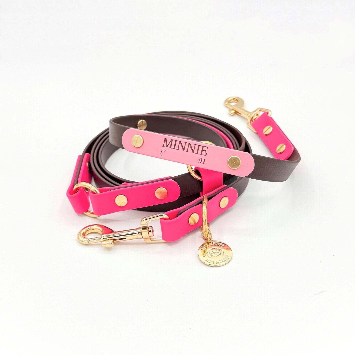 Custom engraved dog ID nameplate for collar or leash, personalized with pet name and phone number
