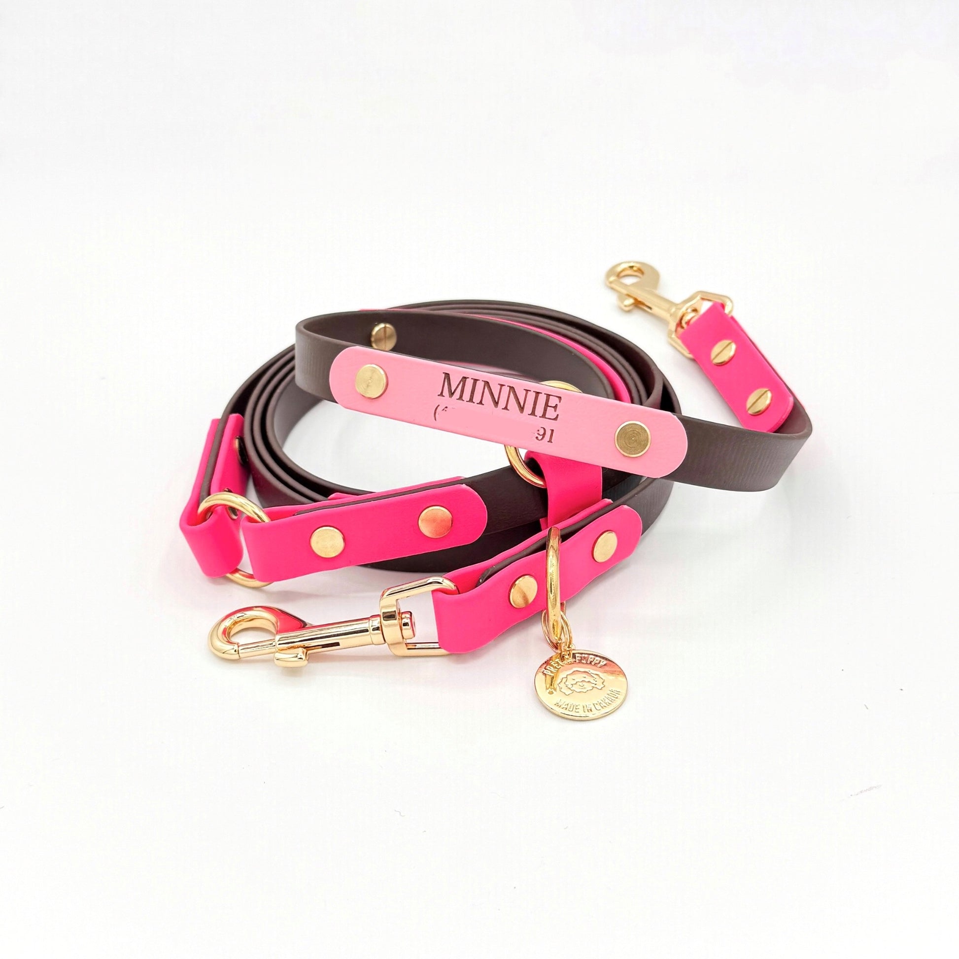 Custom engraved dog ID nameplate for collar or leash, personalized with pet name and phone number