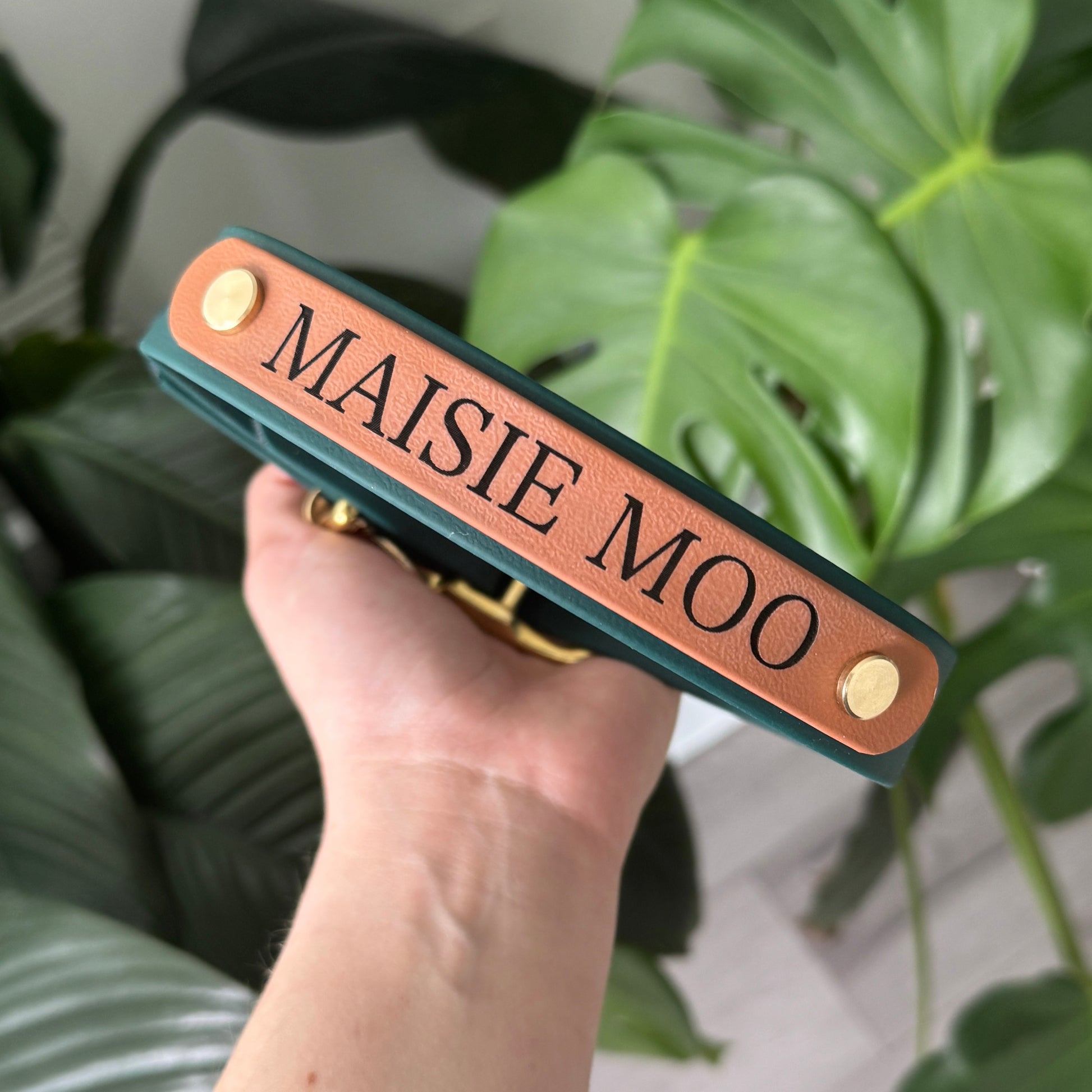 Custom engraved dog ID nameplate for collar or leash, personalized with pet name and phone number