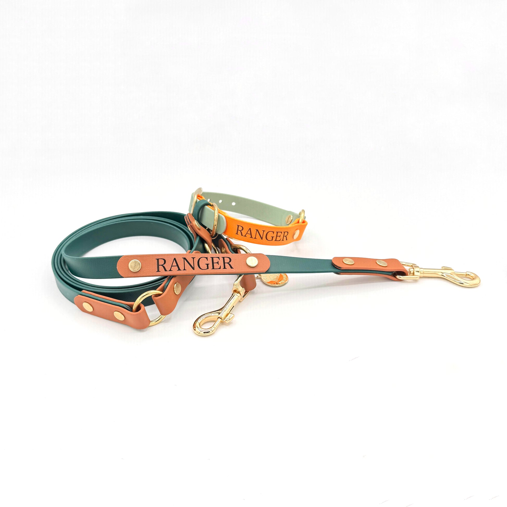 Custom engraved dog ID nameplate for collar or leash, personalized with pet name and phone number