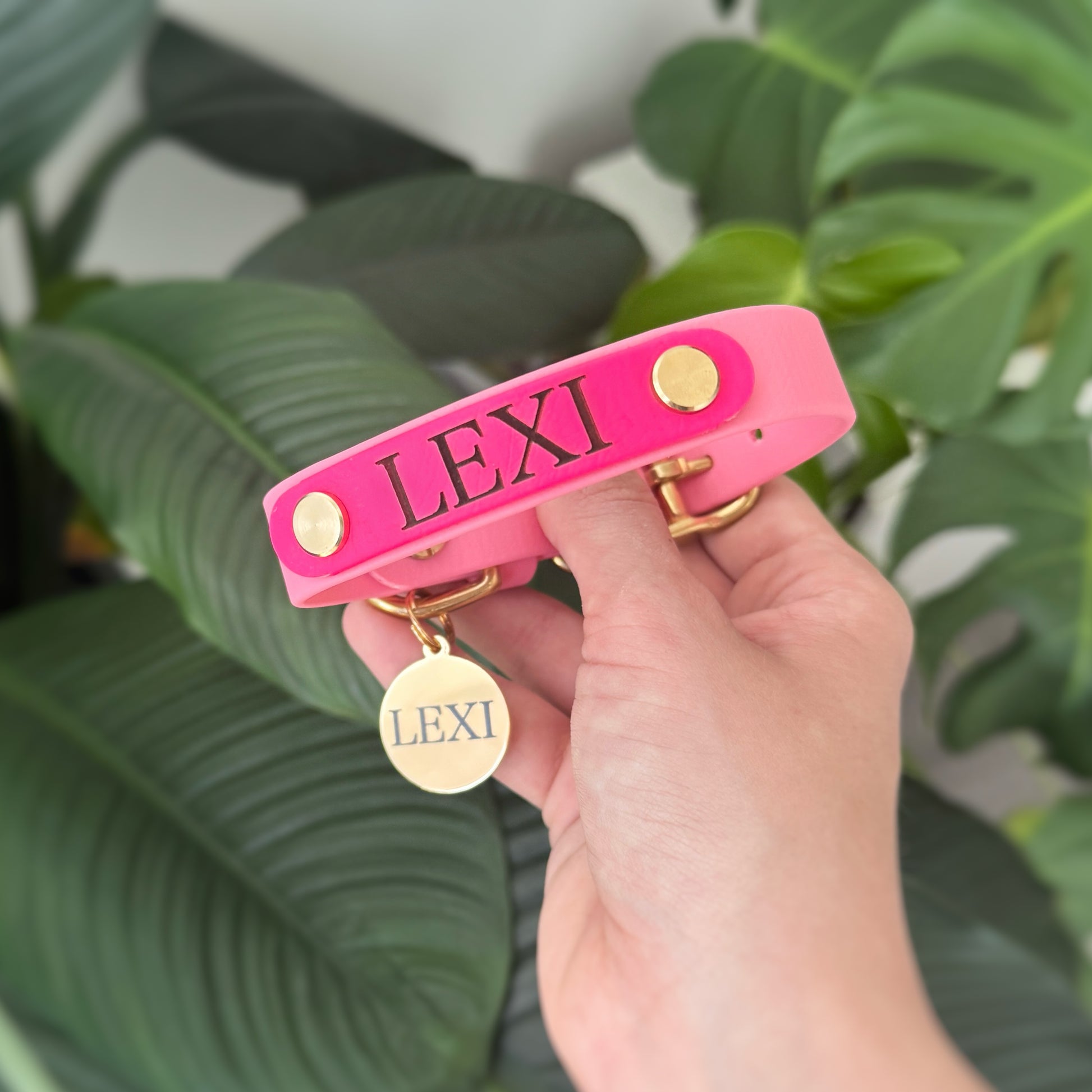 Custom engraved dog ID nameplate for collar or leash, personalized with pet name and phone number