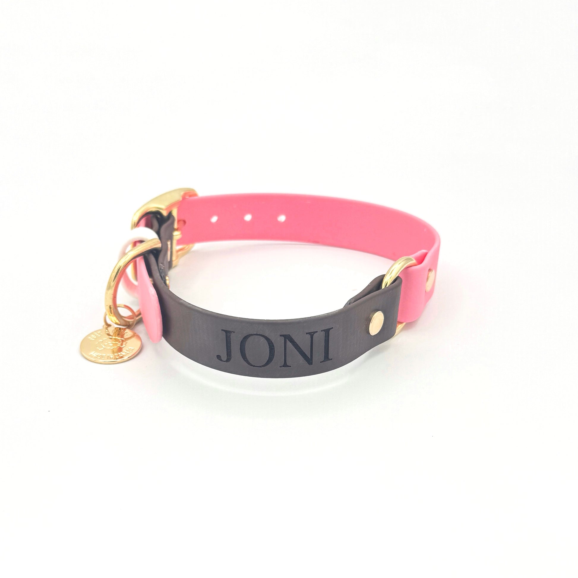 Custom engraved dog ID nameplate for collar or leash, personalized with pet name and phone number