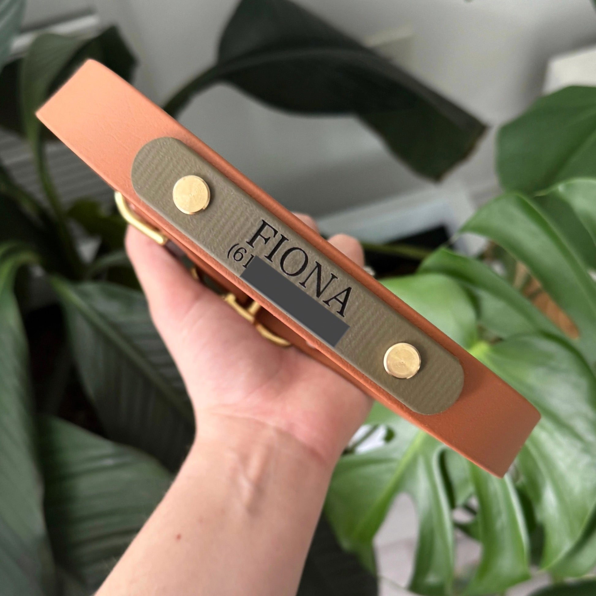 Custom engraved dog ID nameplate for collar or leash, personalized with pet name and phone number