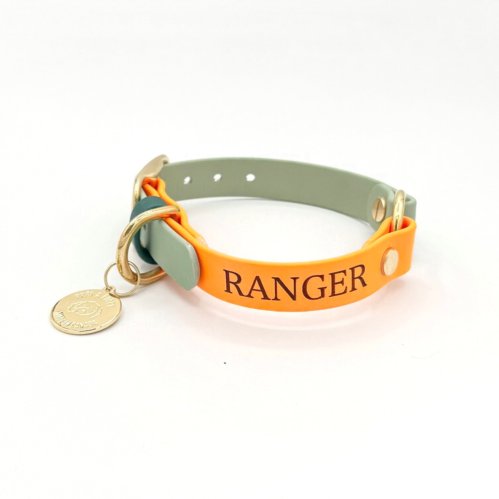 Custom engraved dog ID nameplate for collar or leash, personalized with pet name and phone number