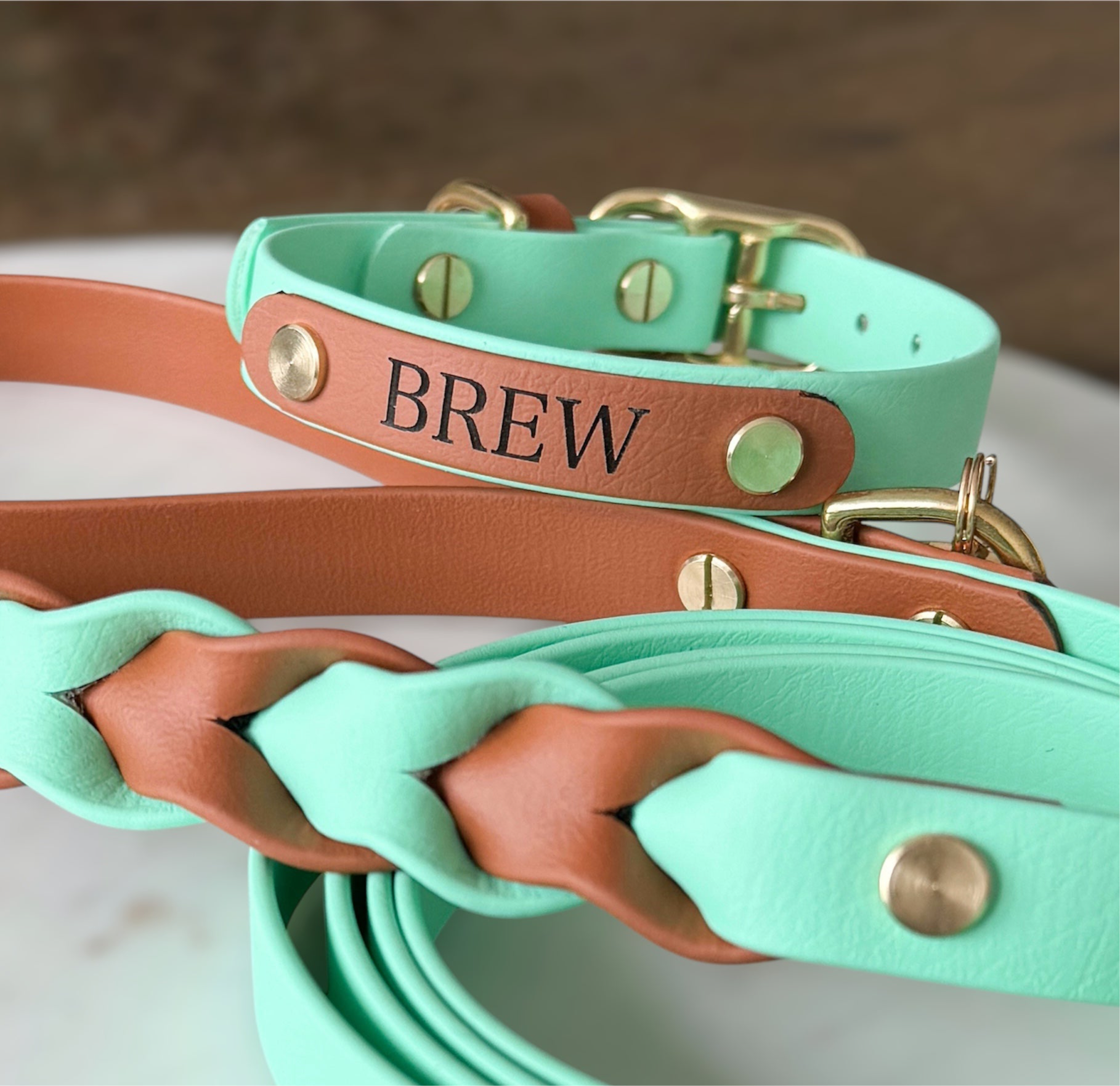Custom engraved dog ID nameplate for collar or leash, personalized with pet name and phone number