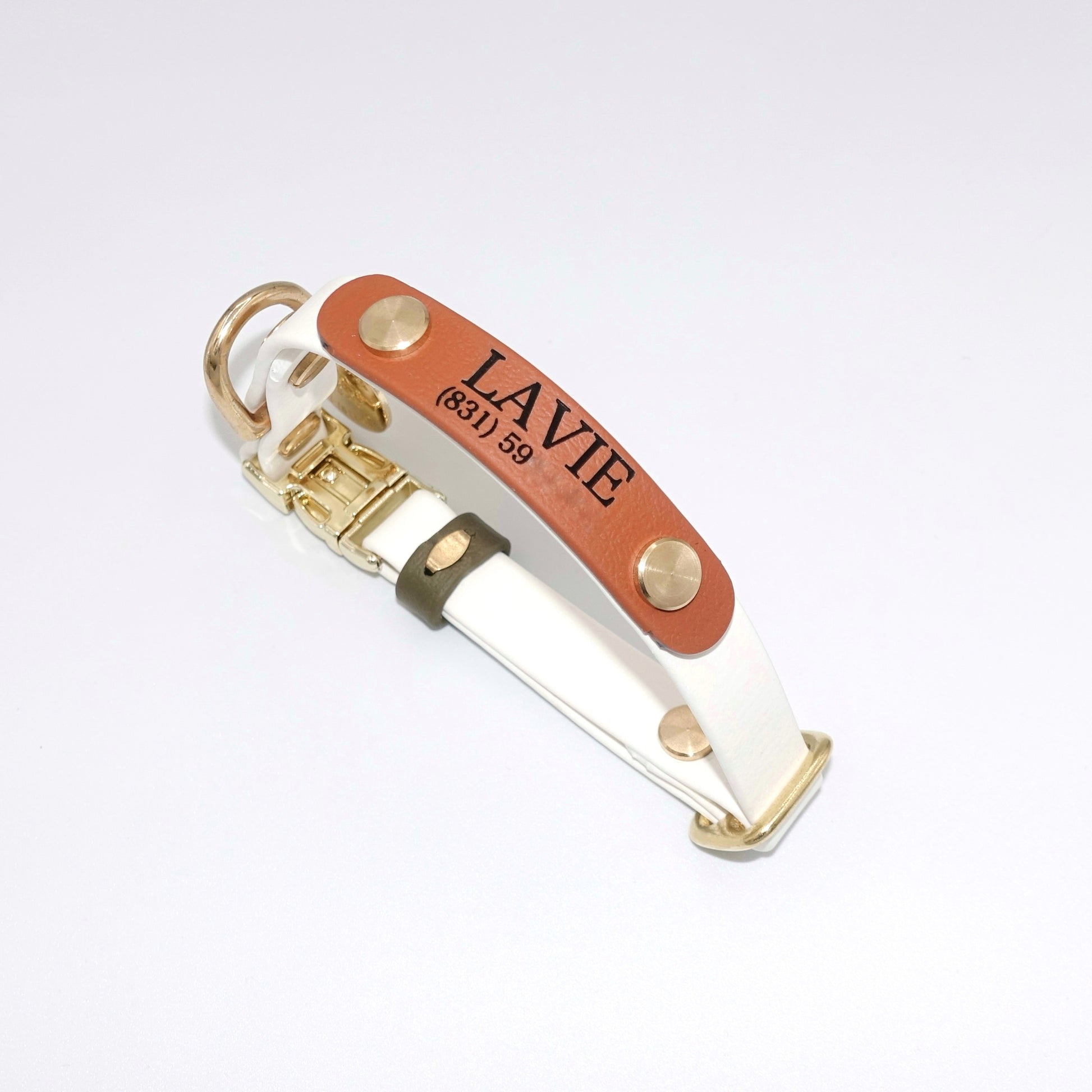 Custom engraved dog ID nameplate for collar or leash, personalized with pet name and phone number
