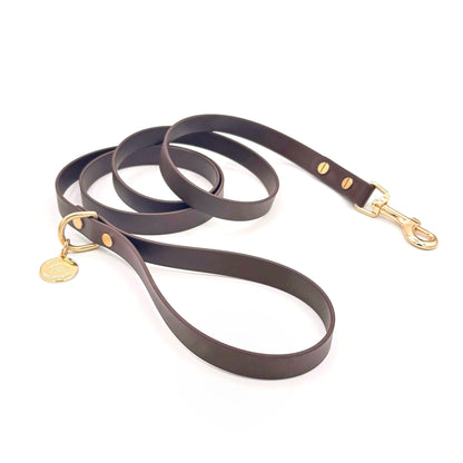 espresso dark brown Biothane dog leash with gold hardware, waterproof and durable, stylish for daily dog walks
