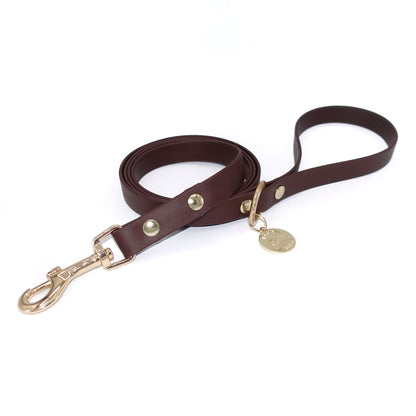 Brown dog leash with gold hardware on a white background