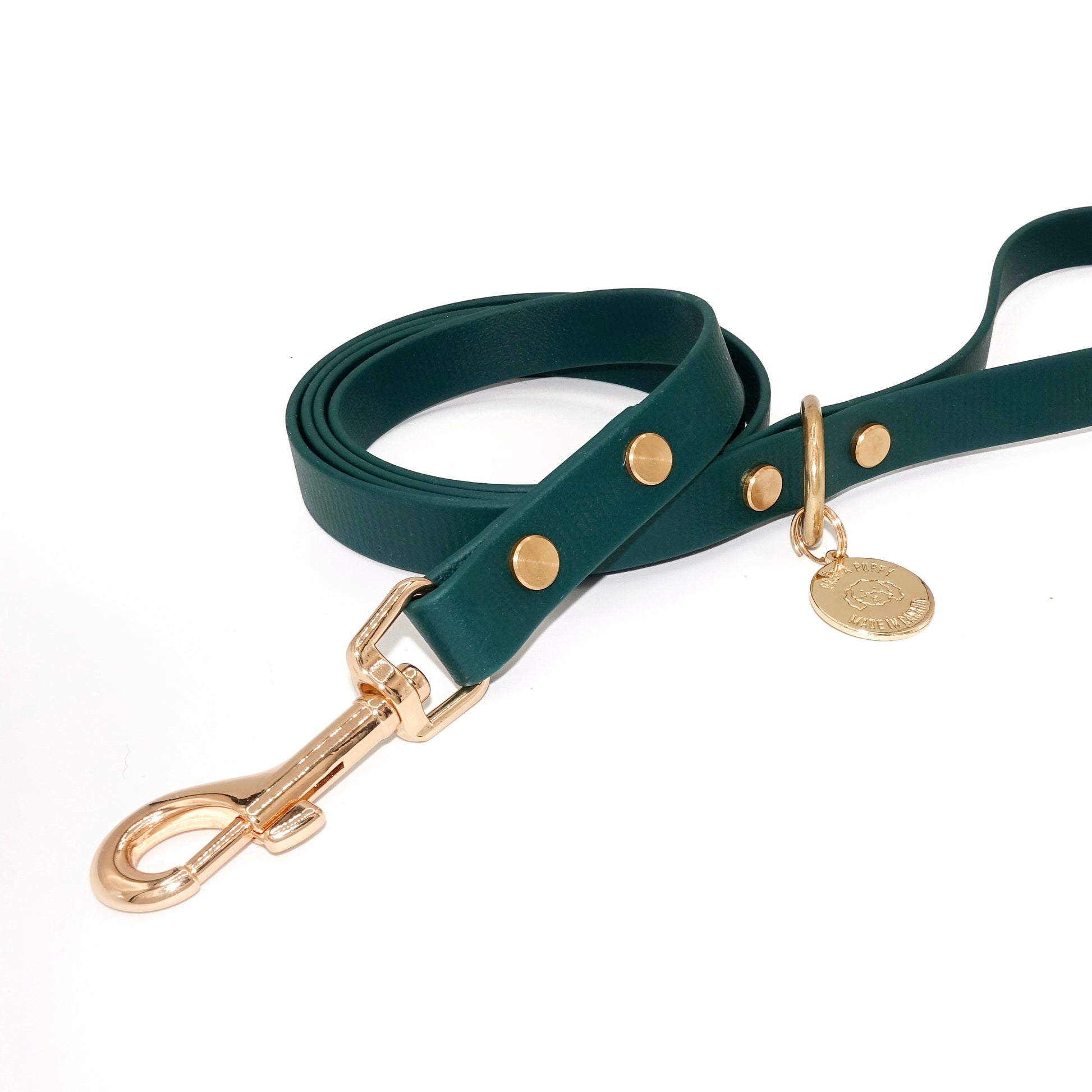 Forest Green Biothane dog leash with gold hardware, waterproof and durable, stylish for daily dog walks