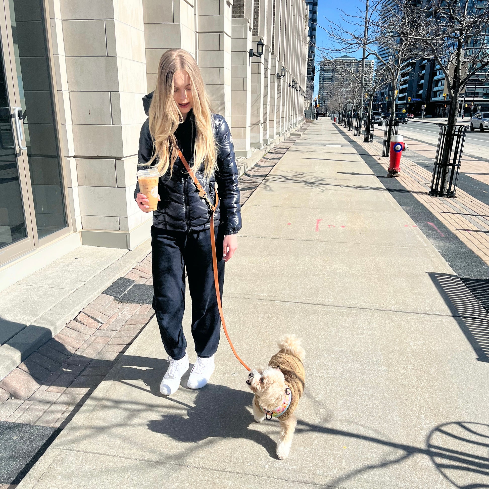 Stylish waterproof hands free dog leash with gold hardware, durable and fashionable for everyday use in all weather conditions. Shown worn crossbody