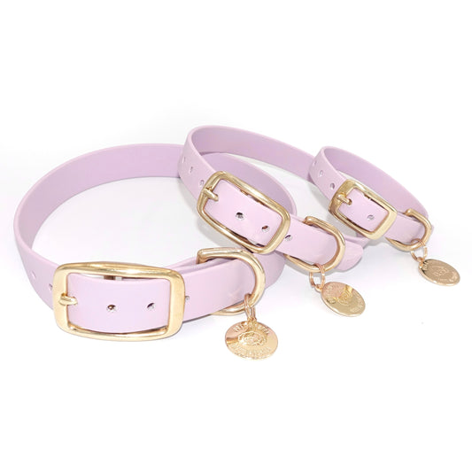 Lilac purple Biothane waterproof dog collar with gold brass hardware, durable and stylish 