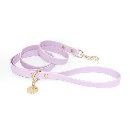 Lavender dog leash with gold hardware on a white background