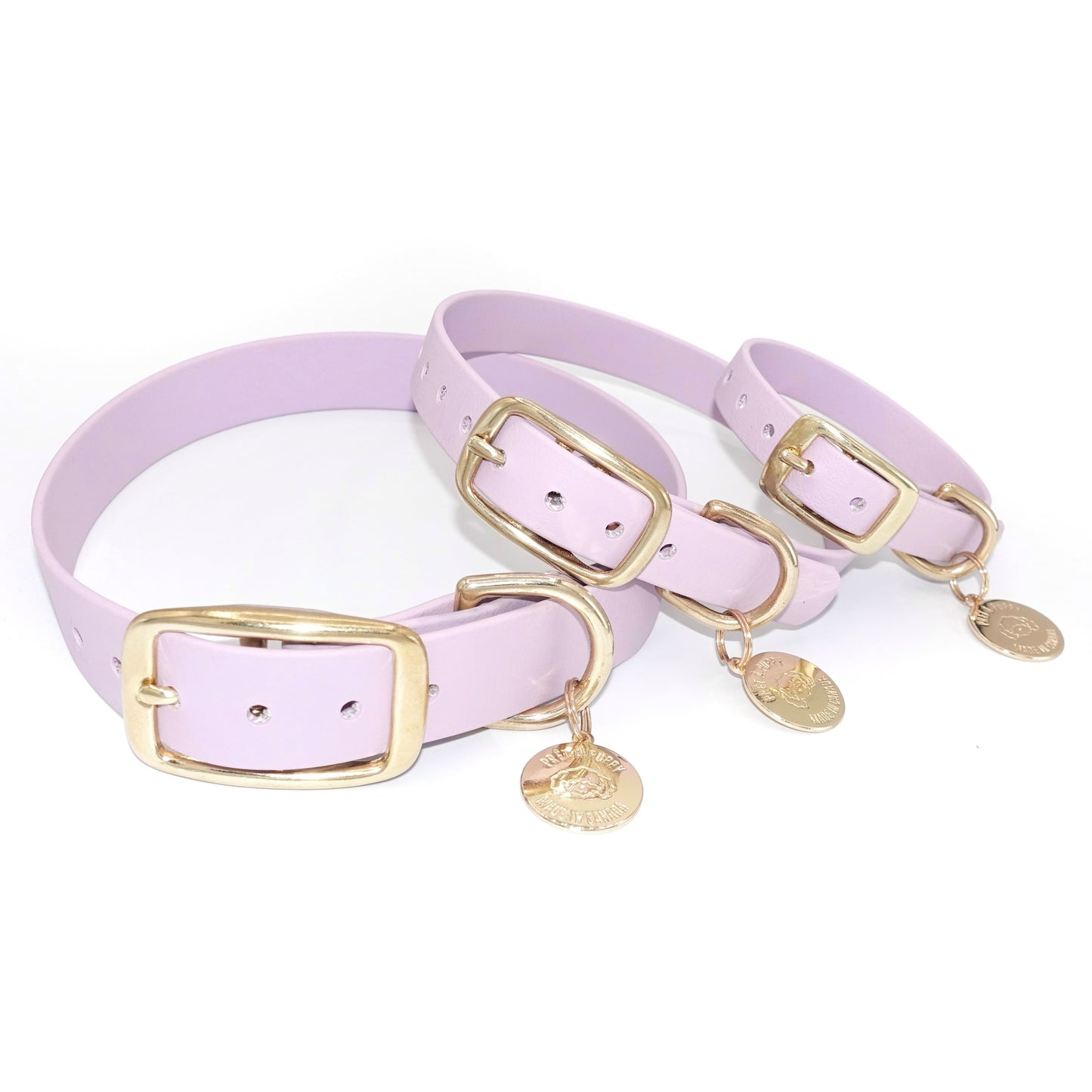  lilac dog collars with gold buckles and tags on a white background 5/8", 3/4", 1" width