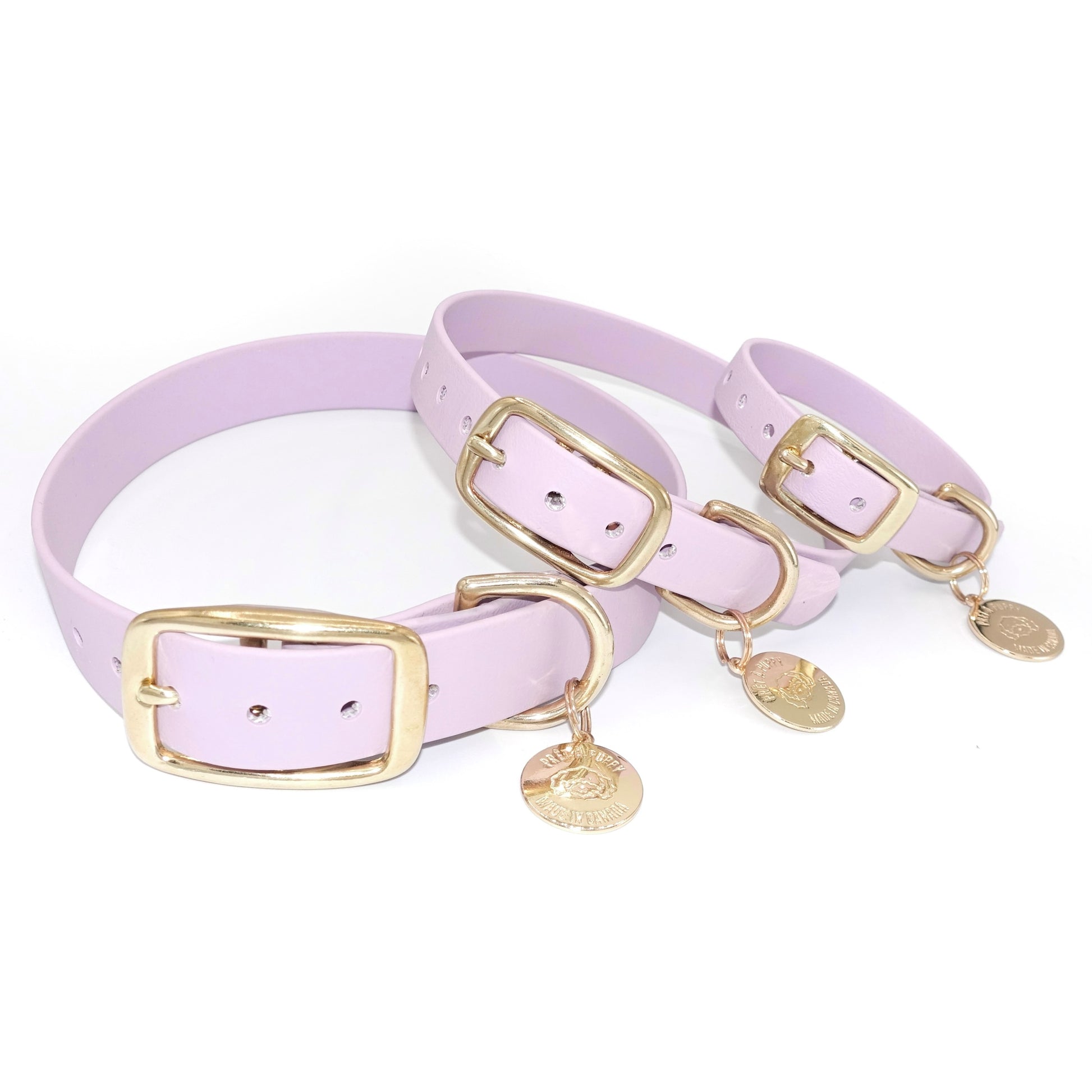  lilac dog collars with gold buckles and tags on a white background 5/8", 3/4", 1" width