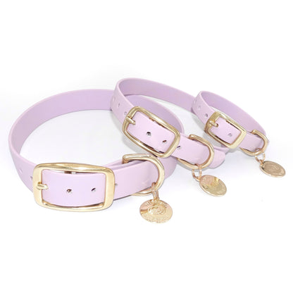  lilac dog collars with gold buckles and tags on a white background 5/8", 3/4", 1" width
