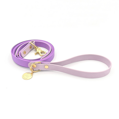 Purple Biothane dog leash with gold hardware, waterproof and durable, stylish for daily dog walks