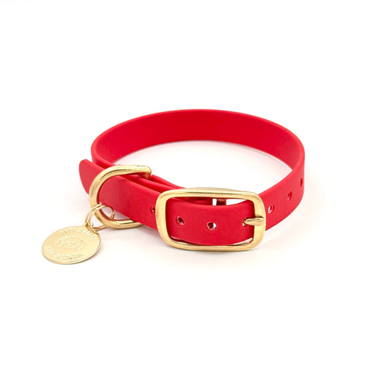 Red Biothane dog collar with gold hardware, waterproof and durable, stylish for daily dog walks