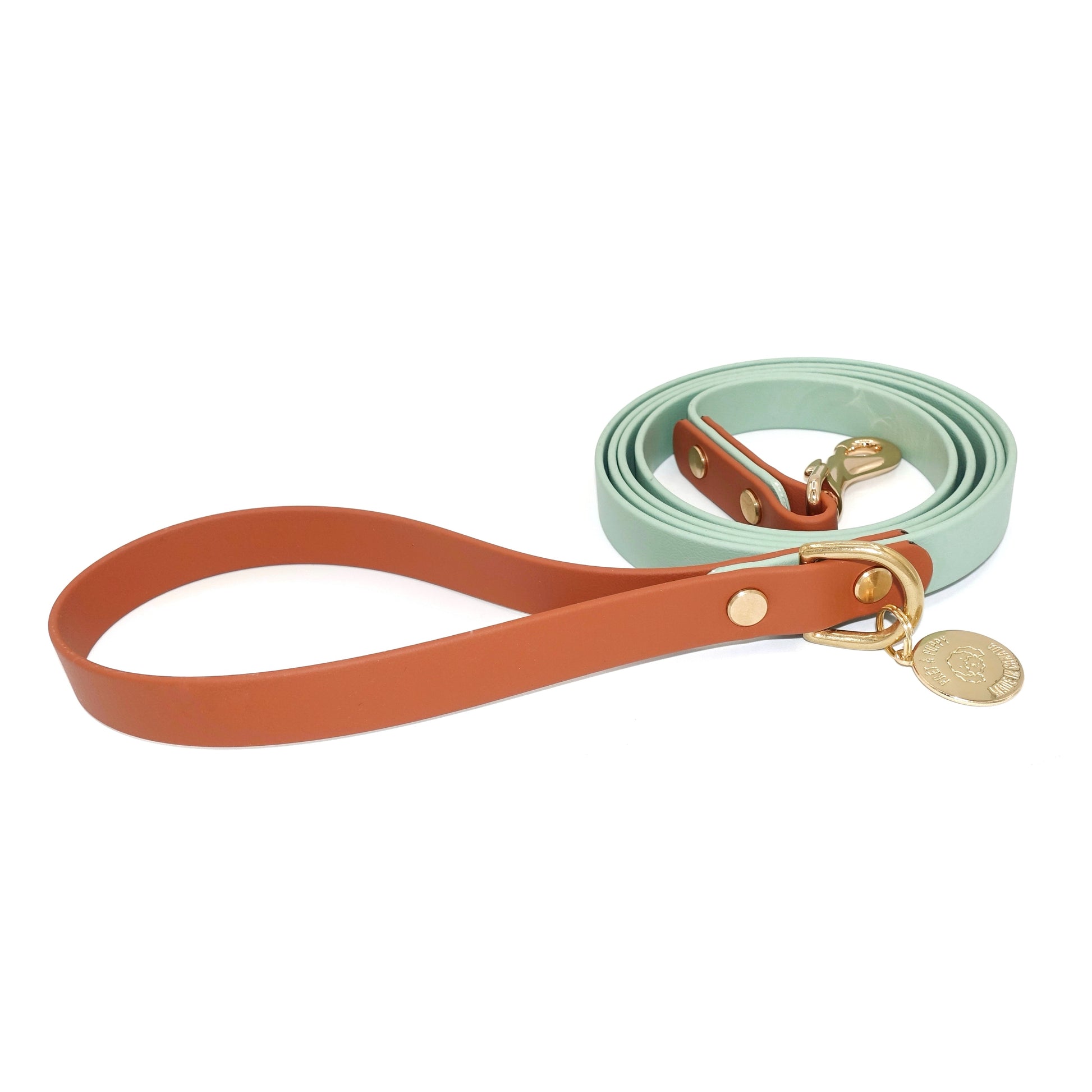 Design your Own Biothane dog leash with gold hardware, waterproof and durable, stylish for daily dog walks