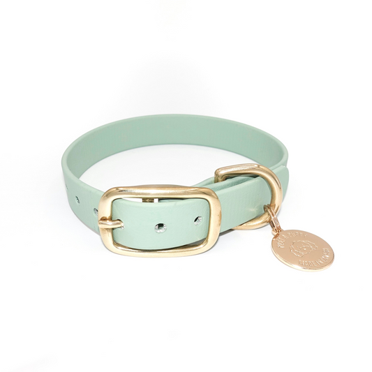Sage Green Biothane dog collar with gold brass hardware, waterproof and durable, stylish 