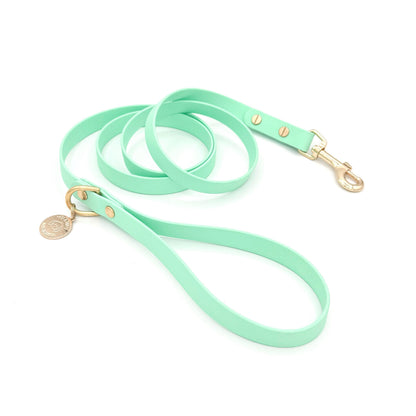 Seafoam Green Biothane dog leash with gold hardware, waterproof and durable, stylish for daily dog walks