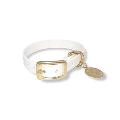 White Biothane waterproof dog collar with gold brass hardware, durable and stylish