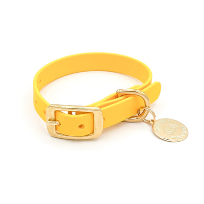 Yellow Biothane waterproof dog collar with gold brass hardware,  durable and stylish 