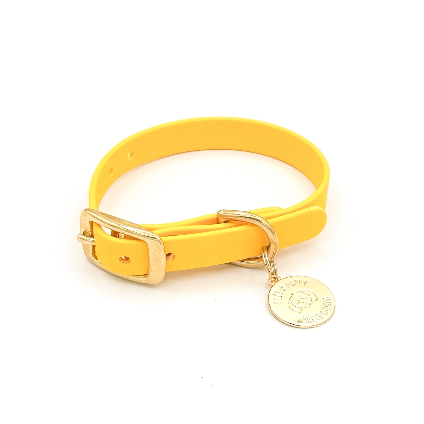 Yellow Biothane waterproof dog collar with gold brass hardware,  durable and stylish 